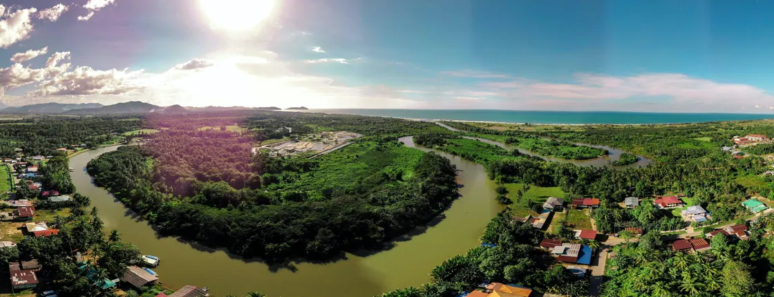 Tamau mangrove wildlife and fireflies tour