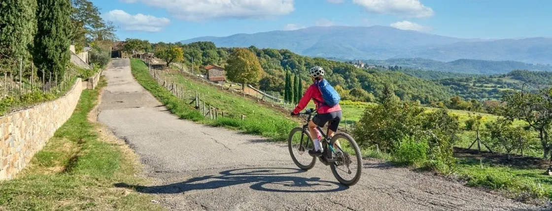E-bike adventure in Chianti with lunch and two wine tastings