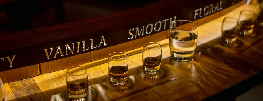 Private Dublin whiskey and beer tour