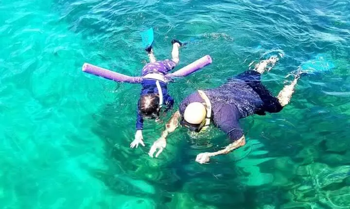 Islamorada: 2-Hour Snorkeling Adventure on Pontoon