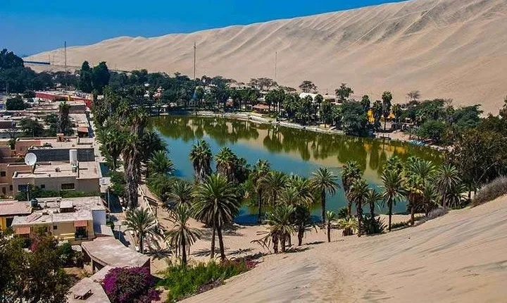 Full Day Paracas - Ica - Oasis Huacachina