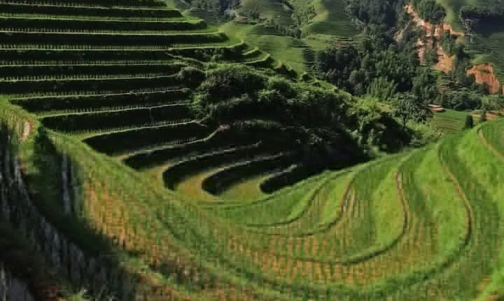 Private Custom Tour: 2 day Longji rice terraces private tour