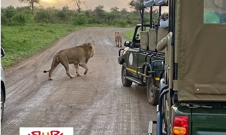 All Inclusive 2 Day Kruger Safari from Nelspruit