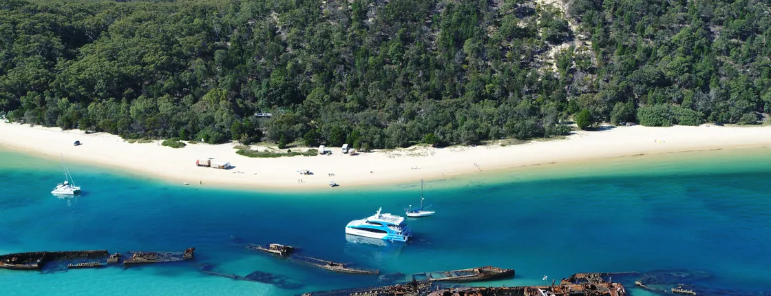 Moreton Bay Marine Park full-day tour with transfer from Gold Coast