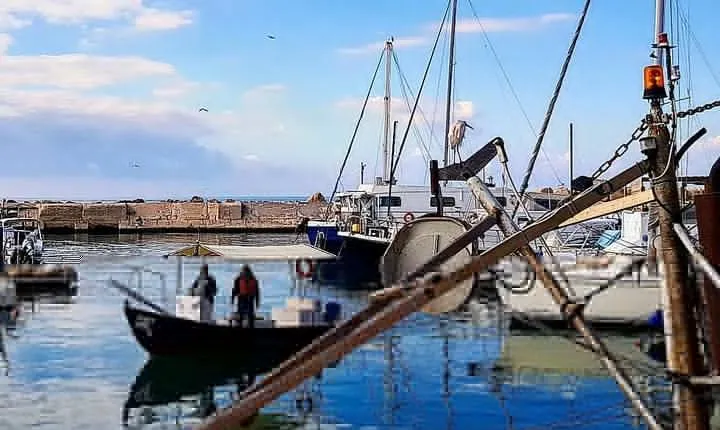 From Antiquity to Modernism - Private Tour of Jaffa & Tel Aviv