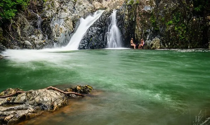 Amazing Daintree Rainforest Tour Waterfall Hike, Lunch, Swim & Crocodile Cruise