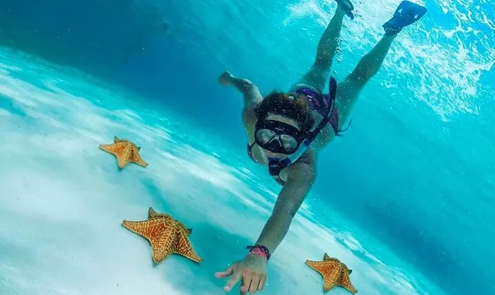 The Best Cozumel Snorkeling Tour Palancar, Colombia and El Cielo Reefs