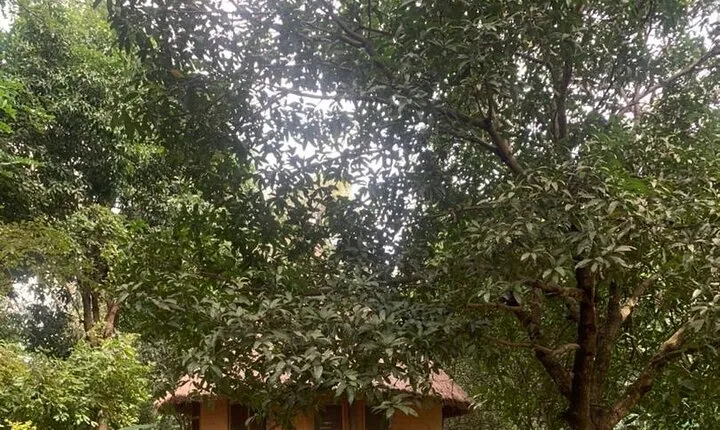  Abuja City Tour-Explore Nigeria’s History, Arts & Landmarks”