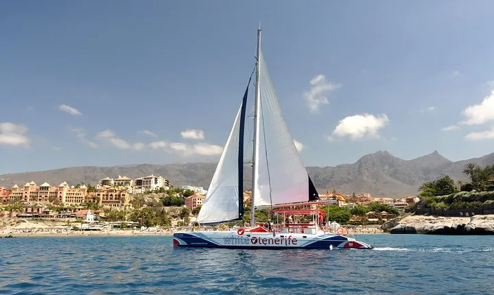 Whale watching and listening Eco-Catamaran Tour with Food Tasting