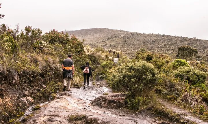 Chingaza National Park Day Tour from Bogotá: Andean Wilderness