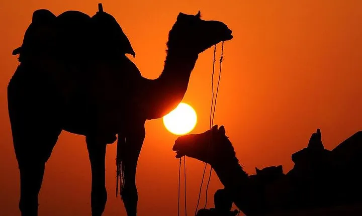 3days Fes Desert ait ben hadou Atlas Mountains Dopoff Marrakech