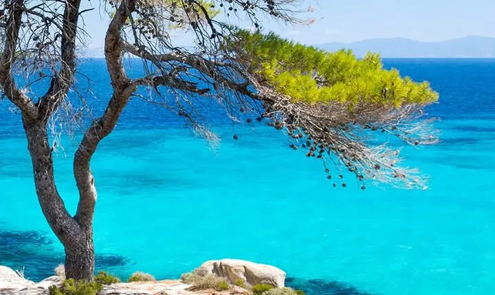 (Private group)Swimming and relax in beautiful beaches.