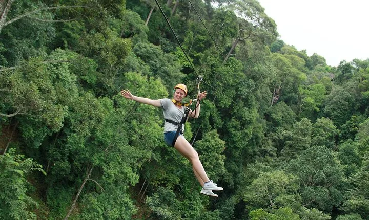 Flight of the Phoenix: Zipline Experience