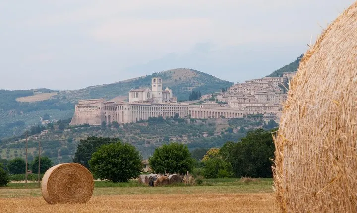 Montepulciano Wine Tasting and Assisi Private Day Tour from Rome