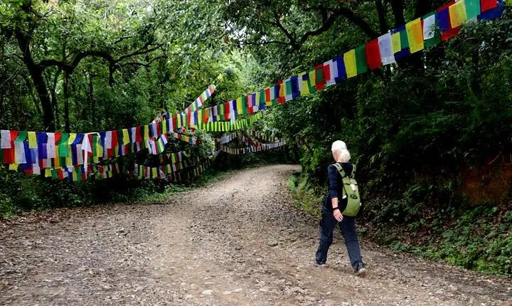 Godavari to Fulchoki Day Hike Near Kathmandu