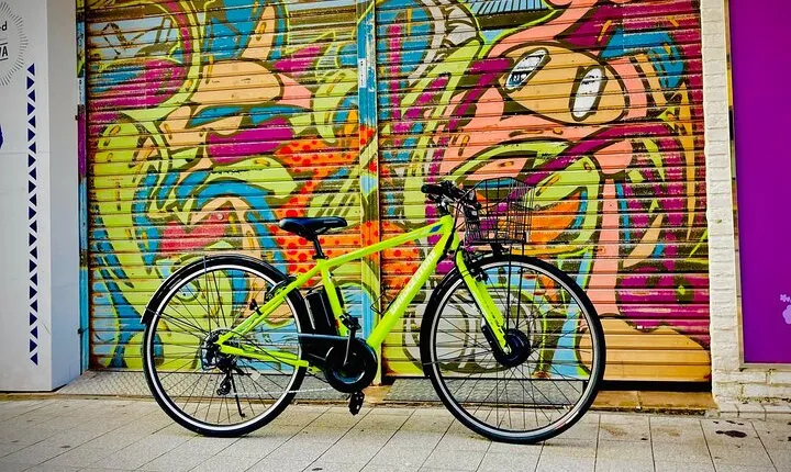 Okinawa E-bike Rental (Sporty Type)