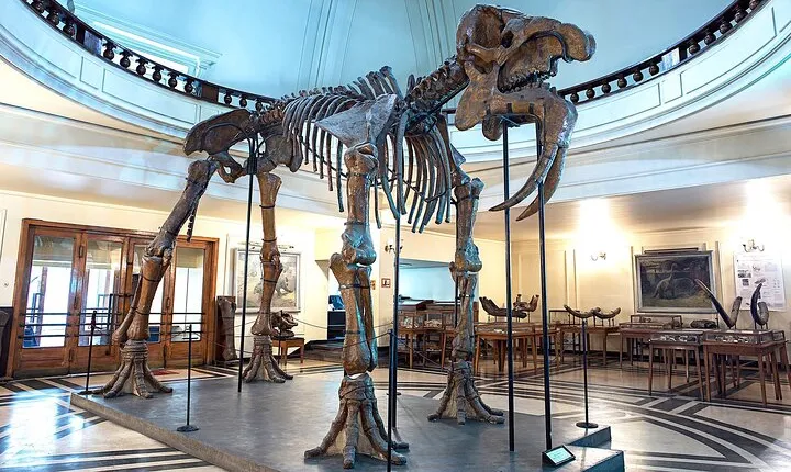 Audio Guide for Museum Paleontology and Historical Geology