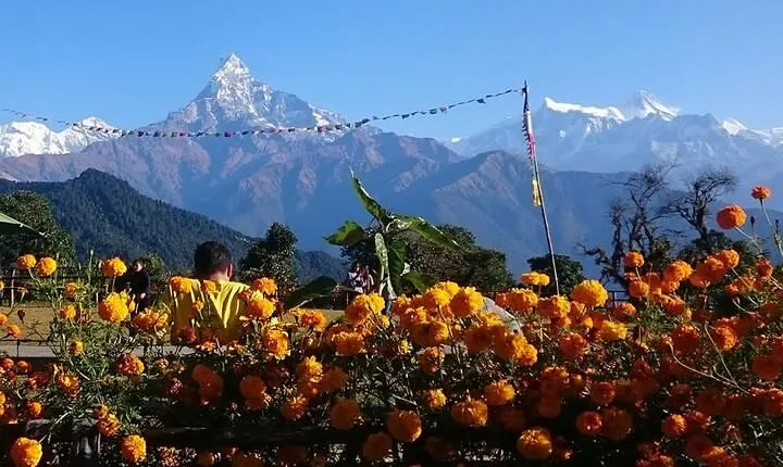 Nepal: 8 Days Kathmandu Pokhara Chitwan Tour