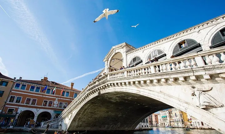 From Verona: Day trip to Venice with tour guide