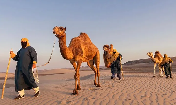 Camel Tour, Vitivinicola Winery with Buggies and Sandboarding