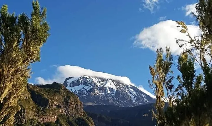 7 Days Trekking by Lemosho Route with Guide