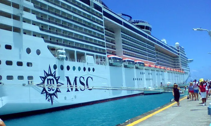 Cruise Ship Shore Excursions: for any cruise lines.