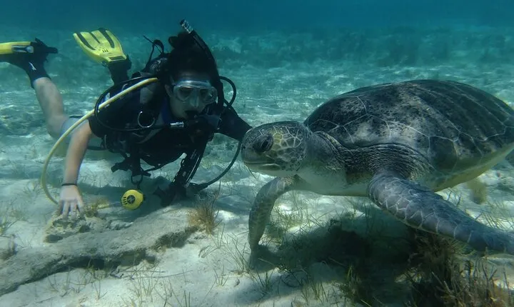 SCUBA DIVING first time experience