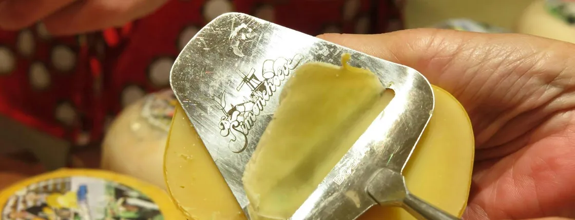 High-Cheese Tasting Experience and Guided Tour of a Traditional Farm