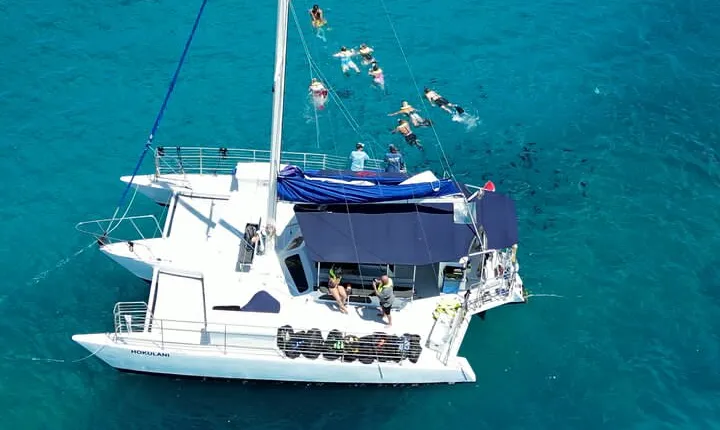 Sail and Turtle Snorkeling Tour in Waikiki