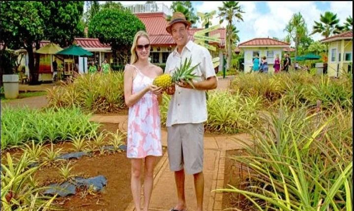 Pearl Harbor, Dole Plantation, Polynesian Center from Waikiki 
