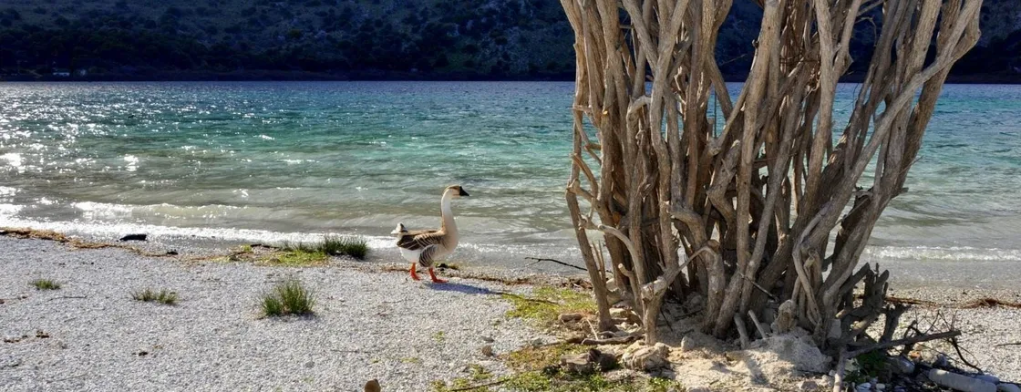 Tour of southern unspoiled Crete from Rethymno