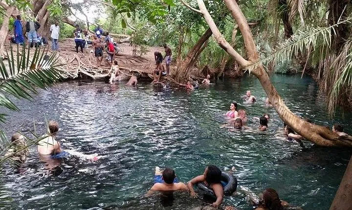 Kikuletwa (Chemka) Hot Springs Day Tour