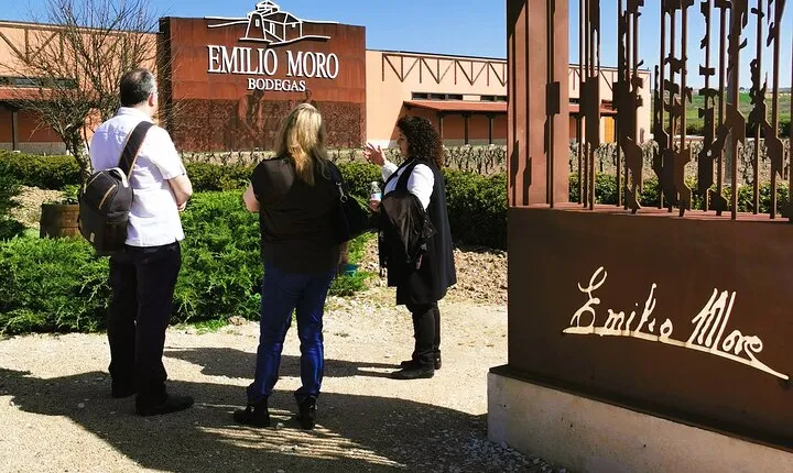 Premium Ribera del Duero tour with winemaker-guide