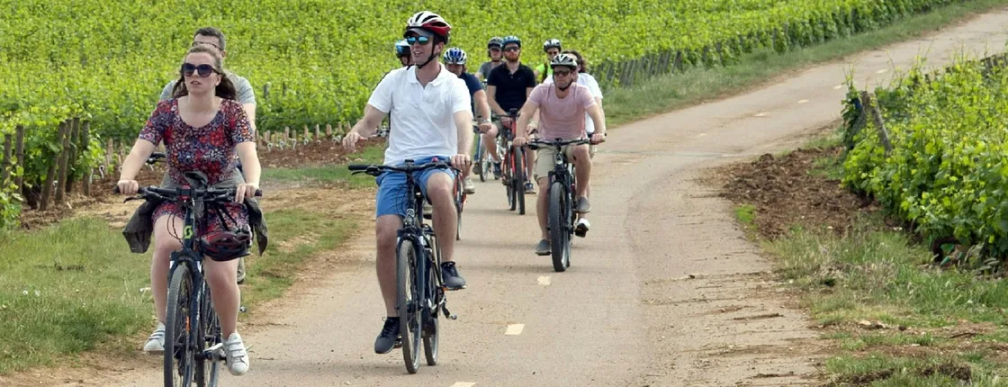 Bike and wine day tour in Burgundy's Côte de Beaune