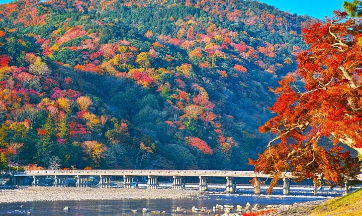 Kyoto Arashiyama: Fall Foliage Walking Tour【Autumn's limited】