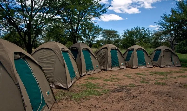4 days Budget Camping Safari Tour 