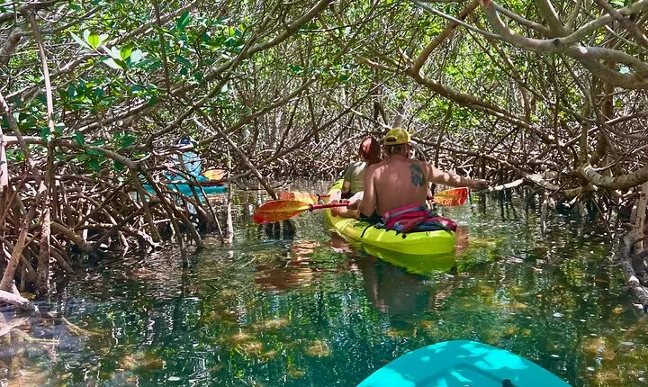Key West Clear Kayak Eco Tour
