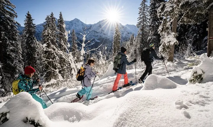 Winter Alpine Adventure
