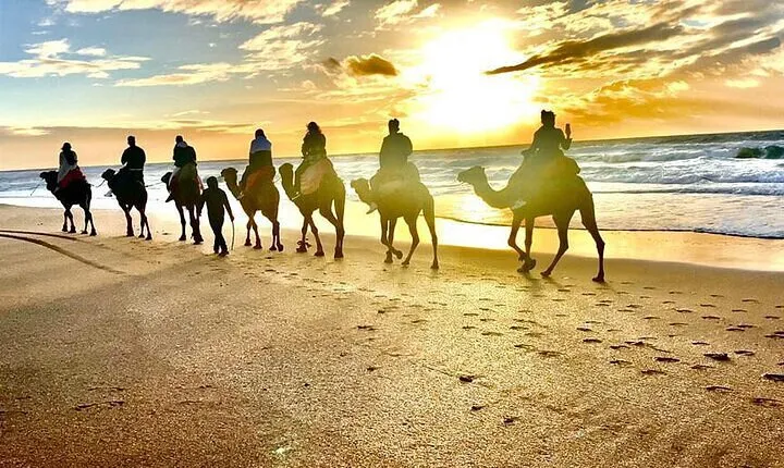 Málaga to Tangier Luxury VIP Tour All Inclusive