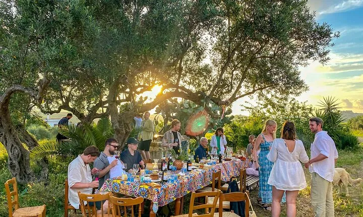 Wine, oil and honey tasting, from Alcamo and C/mmare Golfo