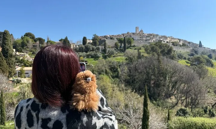 All French Riviera Private Full Day-Tour