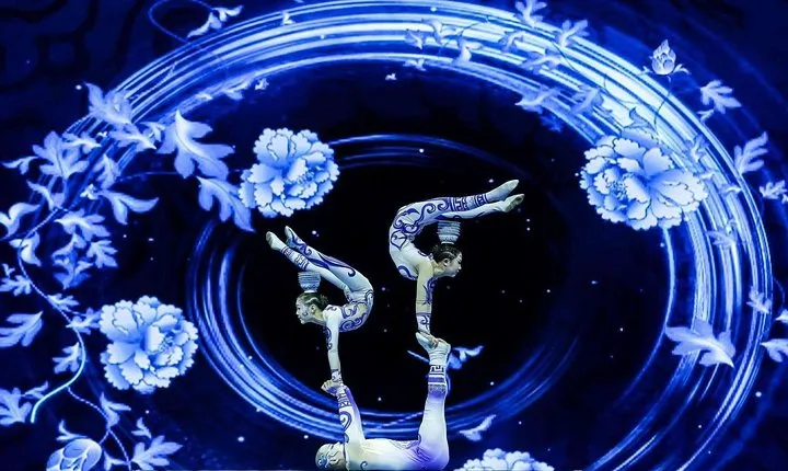 Acrobatics Show with Private Driver Service and Hotel Round Transfer