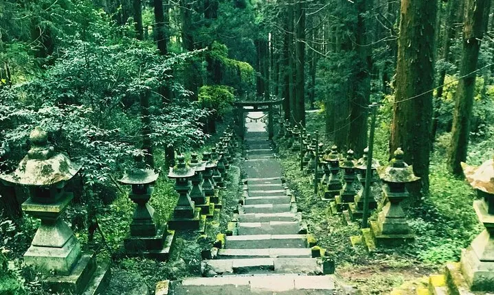 Kyushu Tour of Shrines Sakura Gorges and Landmarks from Fukuoka
