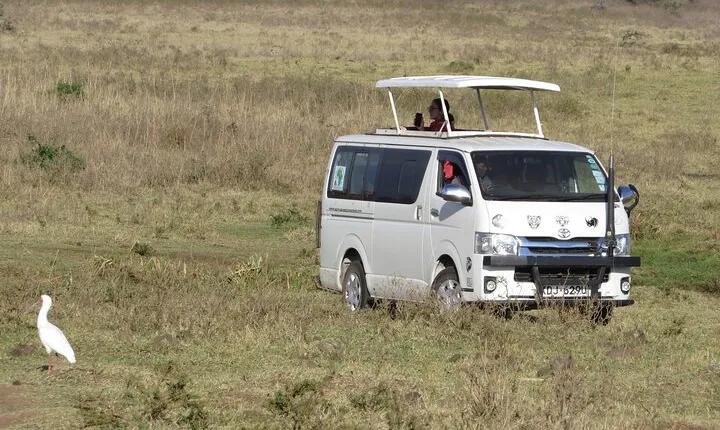 Mombasa & Diani: Group Day Trips to Tsavo Park