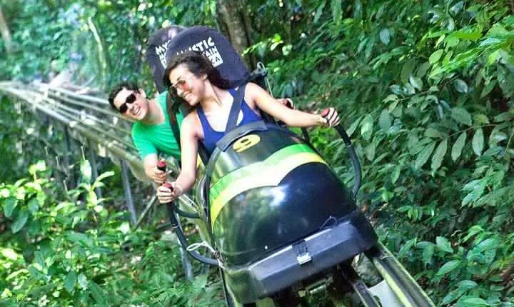 Jamaica Bobsled & Dunn's River Falls Adventure Tour from Port Antonio