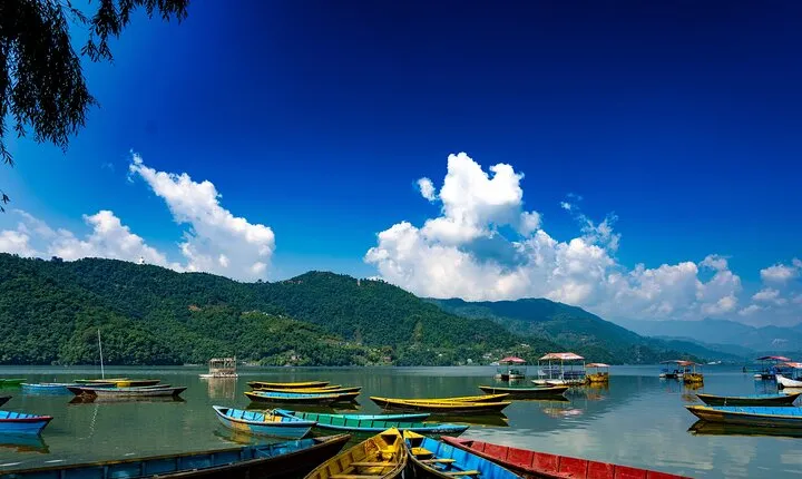 5 Days adventurous Chitwan and pleasing Pokhara Tour from Kathmandu