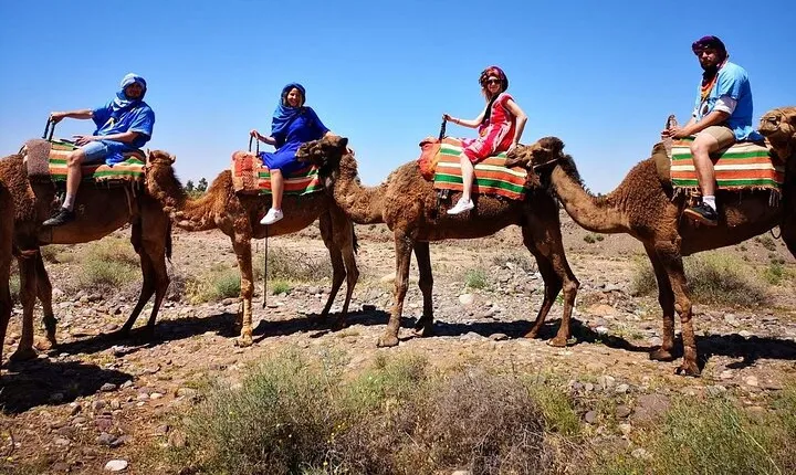 Atlas Mountains and Camel ride Day trip, from Marrakech