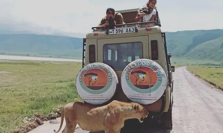 Pumba Tanzania Safari