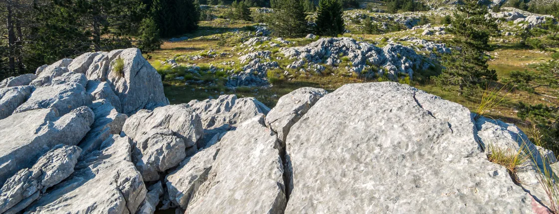 Lovćen national park and Budva city full-day private tour