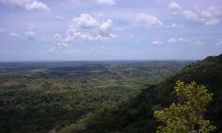 Mombasa Day Trip: Shimba Hills National Reserve Safari and Hike